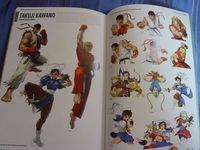 photo d'illustration pour l'article goodie:SF20 - The Art of Street Fighter